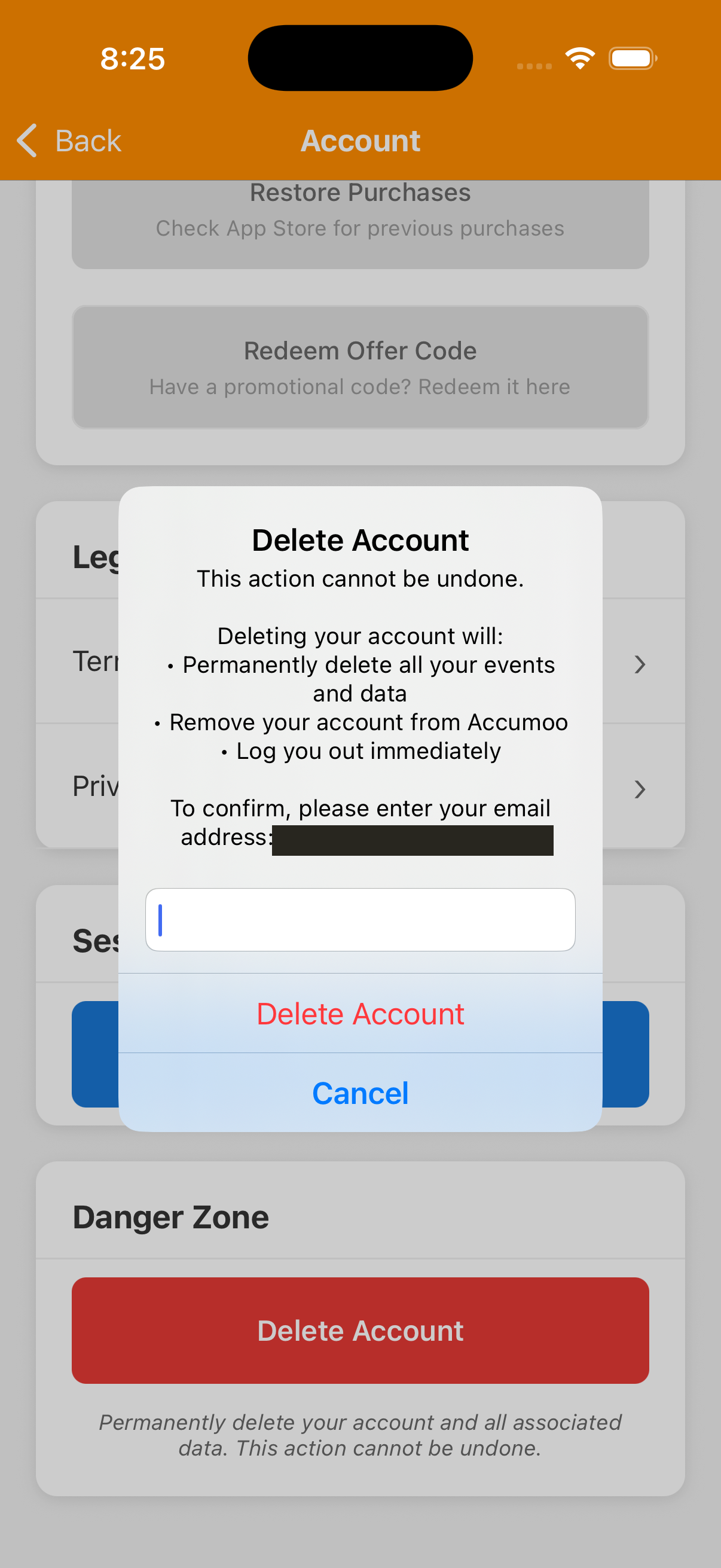 Delete Account warning lists permanent data deletion and immediate logout. The email is redacted, the confirmation field is empty, and Delete Account and Cancel are visible.