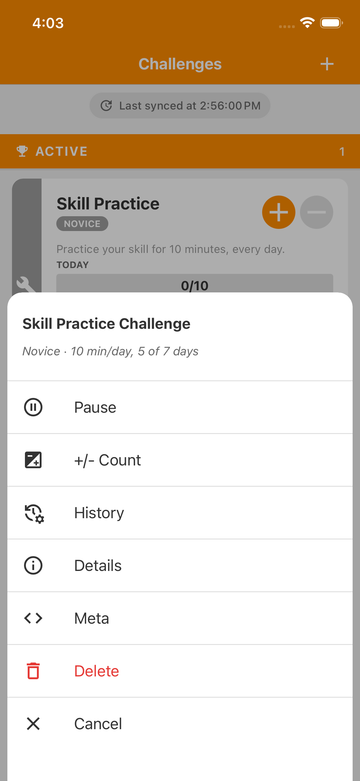 Skill Practice Challenge menu containing plus/minus Count, History and Details.
